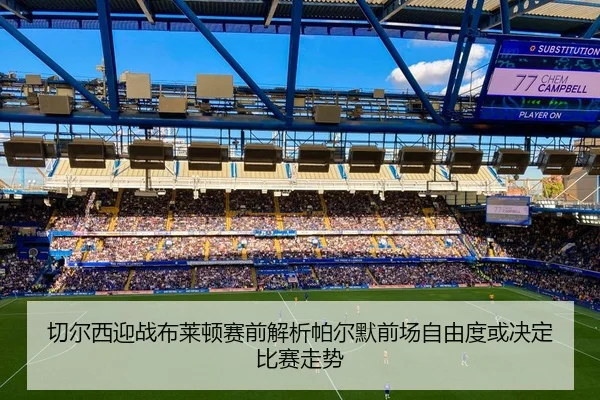 切尔西迎战布莱顿赛前解析帕尔默前场自由度或决定比赛走势
